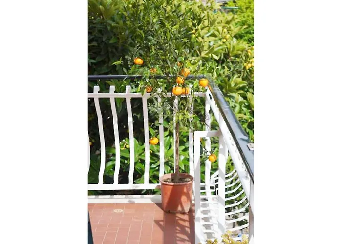 Casa Celeste בית הארחה רומא