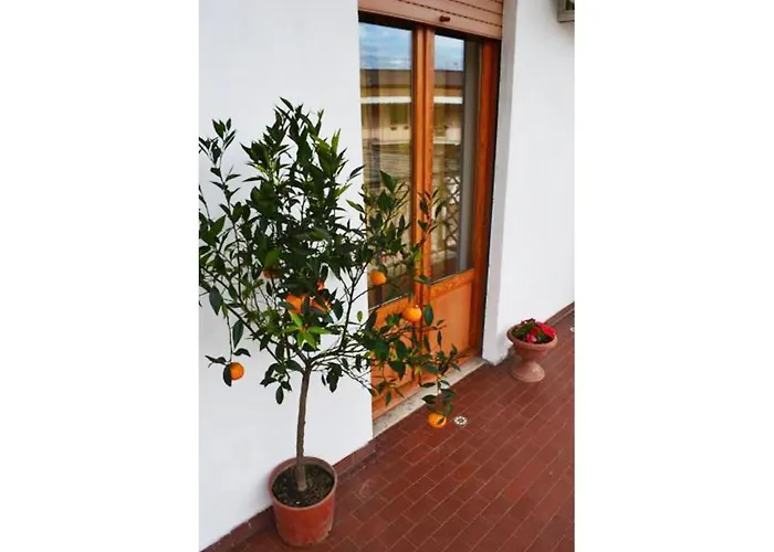 Casa Celeste בית הארחה
